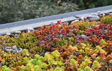 the cost of Hackthorpe green roof installation