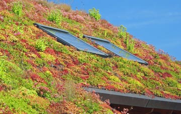 Hackthorpe living roof systems