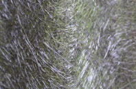 Hackthorpe fibreglass roof work